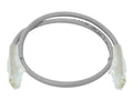 Linkbasic 50cm UTP Cat6 Flylead Grey - Linkbasic FLY-6-0.5