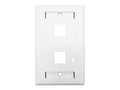 Linkbasic Two Port Faceplate 115 x 70mm - Linkbasic LB-FM2