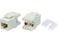 Linkbasic Cat6 UTP Keystone Jack - Linkbasic LB-KEY6
