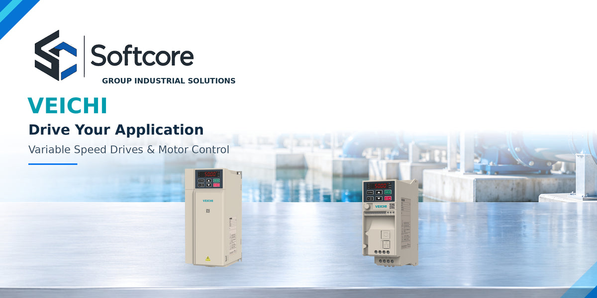 Variable Speed Drives (VSDs)